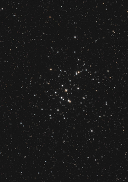 20201225-20201228 Messier 44 - Beehive Cluster 20201225-20201228 Messier 44 - Beehive Cluster